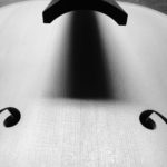 Cello Violoncello der Geigenbauerin Theresa Bauer Geigenbau Geigenbauwerkstatt Geigenbauer Tonholz Fichte Decke Detail F Löcher Griffbrett Ebenholz